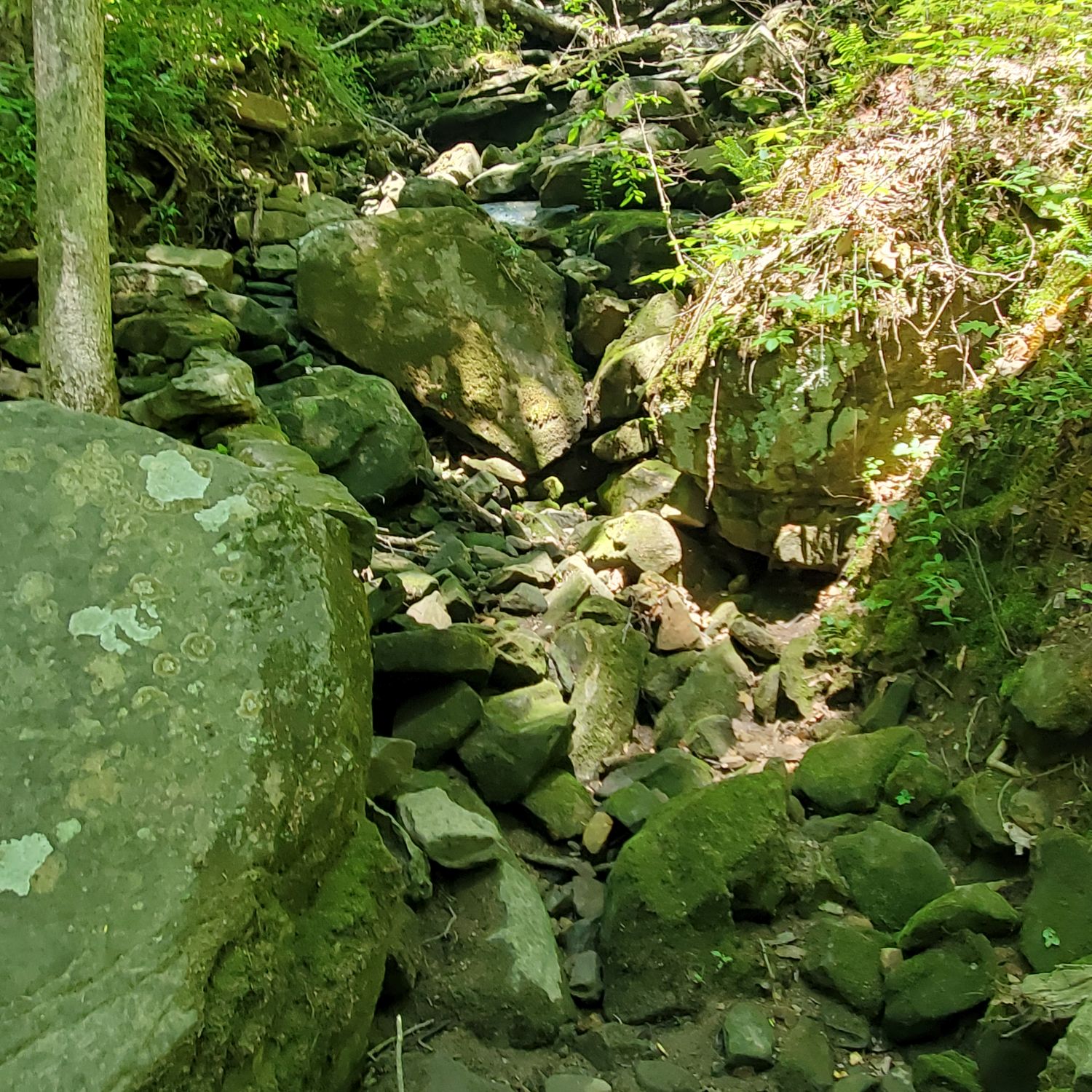 Mammouth Cave National Park Hike 